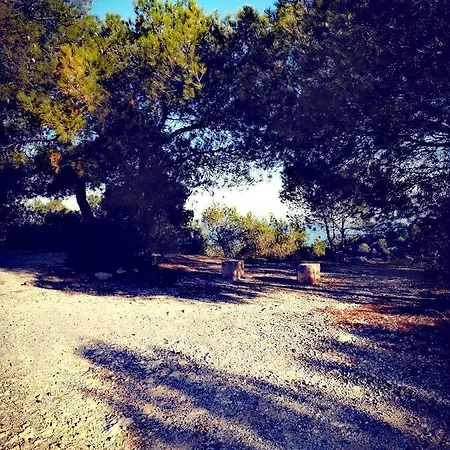 Studio Saronis